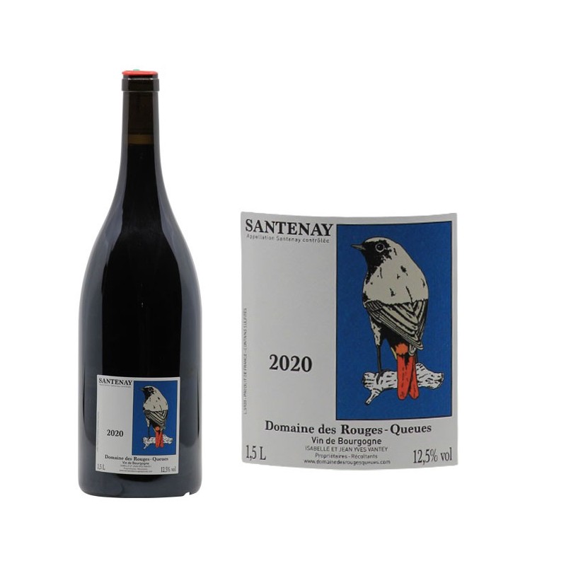 Santenay 2020 - Domaine des Rouges-Queues - Côte de Beaune - Vin Rouge ...