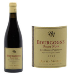 Bourgogne Pinot Noir "Les...
