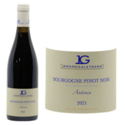 Bourgogne Pinot Noir "Antonin"