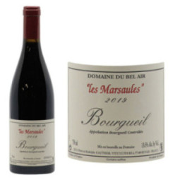 Bourgueil "Les Marsaules"