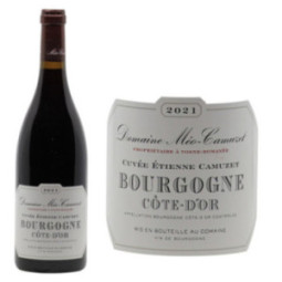 Bourgogne Côte d'Or Pinot...