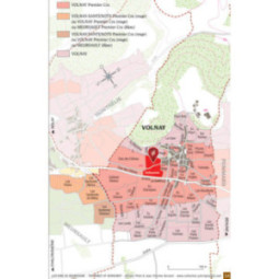 Volnay 1er Cru Taillepieds