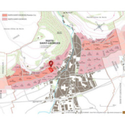 Nuits-Saint-Georges 1er Cru Les Procès
