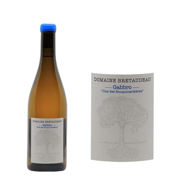 Muscadet "Gabbro Clos des Bouquinardières"