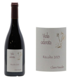 Côte de Nuits-Villages "Viola Odorata"