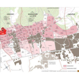 Marsannay Champs Perdrix