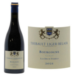 Bourgogne Gamay "Les 2 Terres"