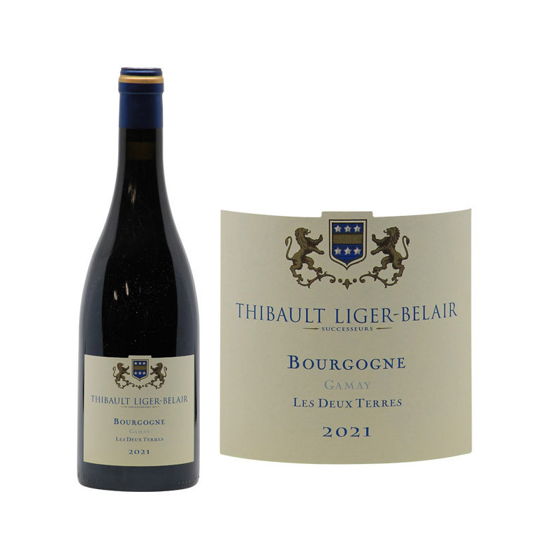 Bourgogne Gamay "Les 2 Terres"