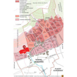 Vosne-Romanée Aux Réas