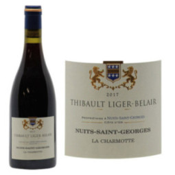 Nuits-Saint-Georges La Charmotte