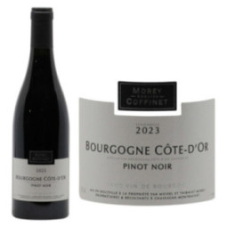 Bourgogne Côte d'Or Pinot Noir