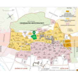 Chassagne-Montrachet 1er Cru Blanc En Cailleret
