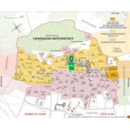 Chassagne-Montrachet 1er Cru Blanc La Maltroie