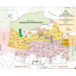 Chassagne-Montrachet 1er Cru Blanc La Romanée