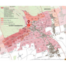 Gevrey-Chambertin 1er Cru Les Champonnets