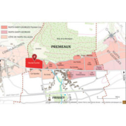 Nuits-Saint-Georges "Clos des Fourches"