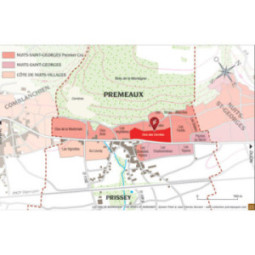 Nuits-Saint-Georges 1er Cru Clos des Corvées Pagets