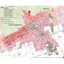 Gevrey-Chambertin 1er Cru Estournelles Saint-Jacques