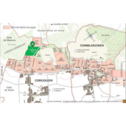 Côte de Nuits-Villages Blanc La Montagne