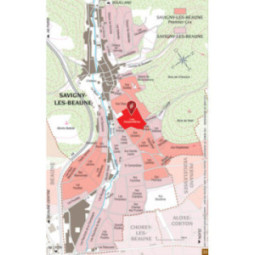 Savigny-les-Beaune 1er Cru Les Serpentières