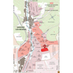 Savigny-les-Beaune 1er Cru Aux Fournaux