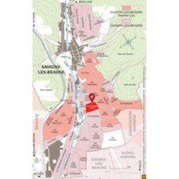 Savigny-les-Beaune Aux Grands Liards
