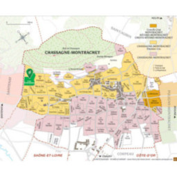 Chassagne-Montrachet 1er Cru Blanc Les Embrazées