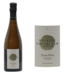 Antoine Chevalier Tecta Silva Brut Nature Blanc de Blancs