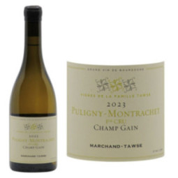 Puligny-Montrachet 1er Cru Les Champs Gains