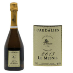 De Sousa Cuvée des Caudalies Le Mesnil