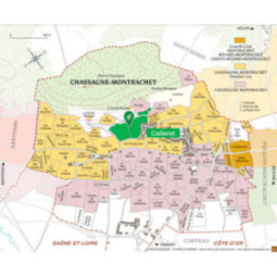 Chassagne-Montrachet 1er Cru Blanc Les Caillerets