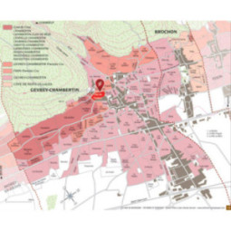 Gevrey-Chambertin 1er Cru Clos du Fonteny 'Monopole'
