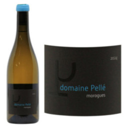 Menetou-Salon Morogues Blanc