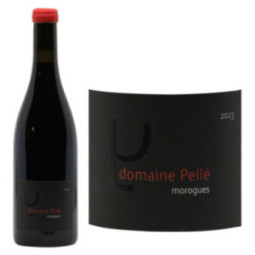Menetou-Salon Morogues Rouge