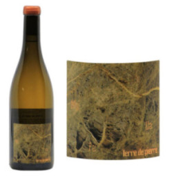 Muscadet Sèvre et Maine "Terre de Pierre"