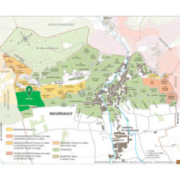 Meursault 1er Cru Les Charmes