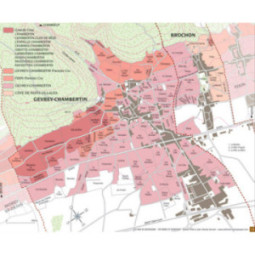 Gevrey-Chambertin "Cuvée Ronde"