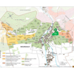Meursault Clos du Cromin