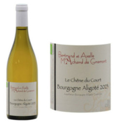 Bourgogne Aligoté "Le Chêne du Court"