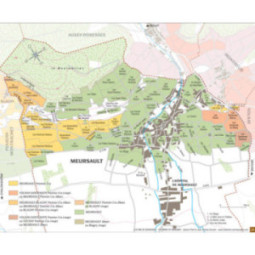 Meursault "du Château"