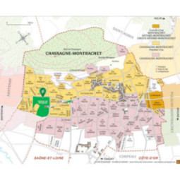 Chassagne-Montrachet 1er Cru Blanc Abbaye de Morgeots