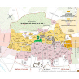 Chassagne-Montrachet 1er Cru Blanc Les Champs Gain