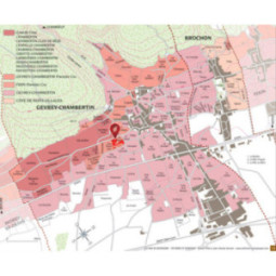 Gevrey-Chambertin 1er Cru La Perrière