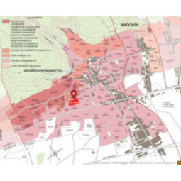 Gevrey-Chambertin Clos Prieur