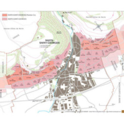 Nuits-Saint-Georges 'Vieilles Vignes'