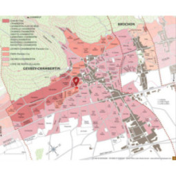 Gevrey-Chambertin 1er Cru Au Closeau