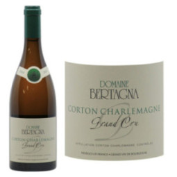 Corton-Charlemagne