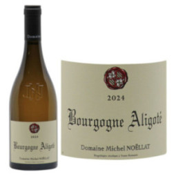 Bourgogne Aligoté