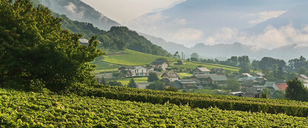 Savoie et Bugey img