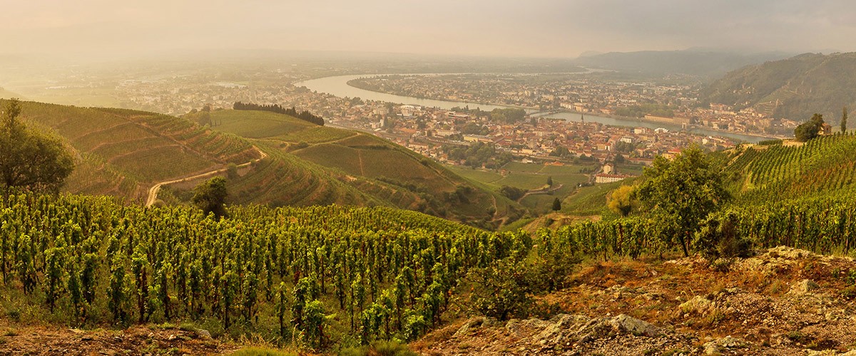 Vallée du Rhône img